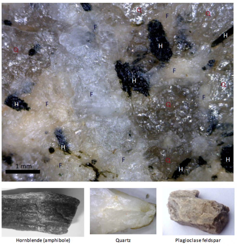 Figure 1.5 A close-up view of the rock granite and some of the minerals that it typically contains (H = hornblende (amphibole), Q = quartz and F = feldspar). The crystals range from about 0.1 to 3 mm in diameter. Most are irregular in outline, but some are rectangular. [SE]
