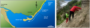 Figure 17.18 The formation of Goose Spit at Comox on Vancouver Island. The sand that makes up Goose Spit is derived from the erosion of Pleistocene Quadra Sand (a thick glaciofluvial sand deposit, as illustrated in the photo on the right). [SE]