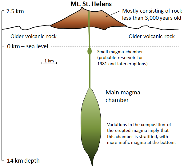 Mt. St. Helens, mostly consisting of rock less than 3,000 yers old, under Mountain, older volcanic rock, below sea level a small magma chamber (probable reservoir for 1981 and later eruptions), down to 14 km in depth is the main magma chamber, variations in the composition of the erupted magma imply this chamber is stratified, with more magma at the bottom.