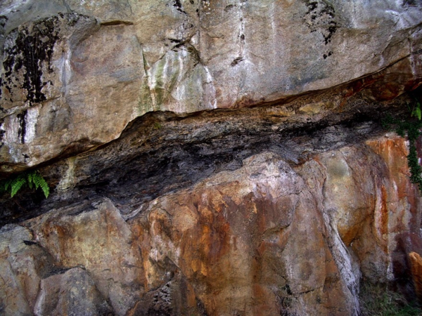 (b) Two separate layers of fluvial sandstone with a thin (approx. 75 cm) coal seam in between. Pender Formation in Nanaimo.