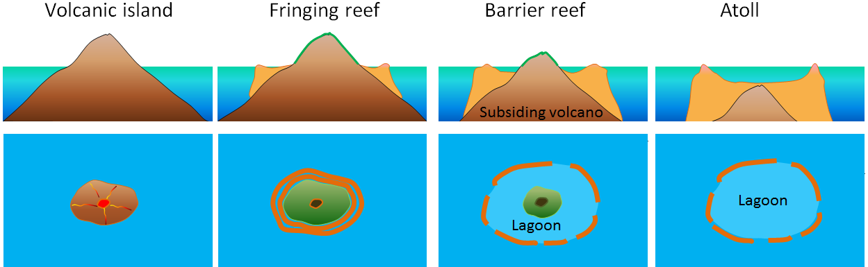 Figure 18.8 The formation of a fringing reef, a barrier reef, and an atoll around a subsiding tropical volcanic island. [SE]