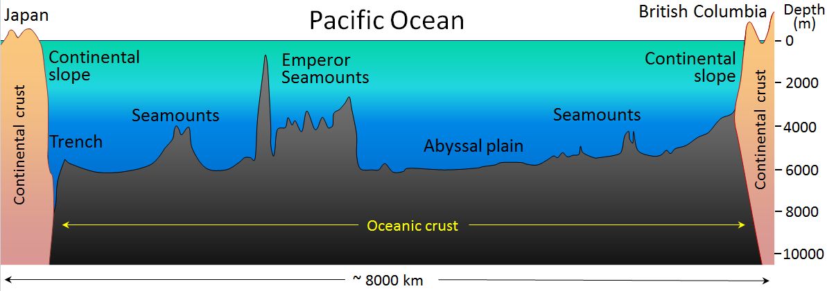 Figure 18.3 The generalized topography of the Pacific Ocean sea floor between Japan and British Columbia. The vertical exaggeration is approximately 200 times. [SE]