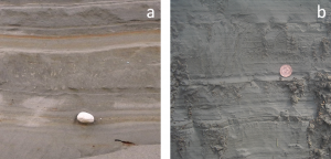 Figure 16.35 Examples of glacial sediments formed in quiet water: a: glaciolacustrine sediment with a drop stone, Nanaimo, B.C.; and b: a laminated glaciomarine sediment, Englishman River, B.C. Although not visible in this photo, the glaciomarine sediment has marine shell fossils. [SE]
