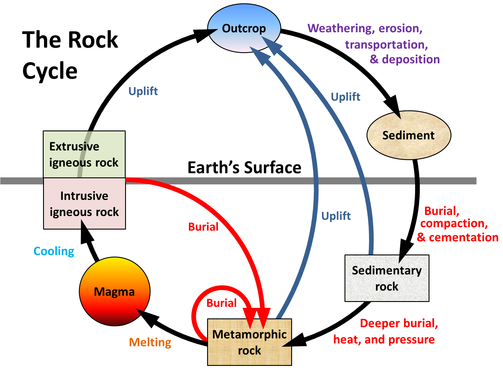 Figure 7.2 The rock cycle. The processes related to metamorphic rocks are at the bottom of the cycle. [SE ]