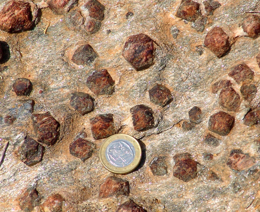 This photo shows a sample of garnet-mica schist from the Greek island of Syros. The large reddish crystals are garnet, and the surrounding light coloured rock is dominated by muscovite mica. The Euro coin is 23 mm in diameter. Assume that the diameters of the garnets increased at a rate of 1 mm per million years.
