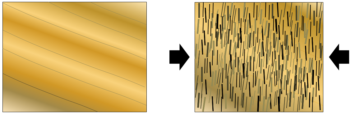 Figure 7.6 The textural effects of squeezing and aligned mineral growth during metamorphism. The left-hand diagram represents shale with bedding in the direction shown. The right-hand diagram represents schist (derived from that shale), with the mica crystals orientated perpendicular to the main stress direction and the original bedding no longer easily visible. [SE]