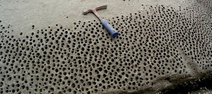 Photograph of Honeycomb weathering of sandstone on Gabriola Island, BC. The holes are caused by crystallization of salt within rock pores, and the seemingly regular pattern is related to the original roughness of the surface. It’s a positive-feedback process because the holes collect salt water at high tide, and so the effect is accentuated around existing holes. This type of weathering is most pronounced on south-facing sunny exposures.