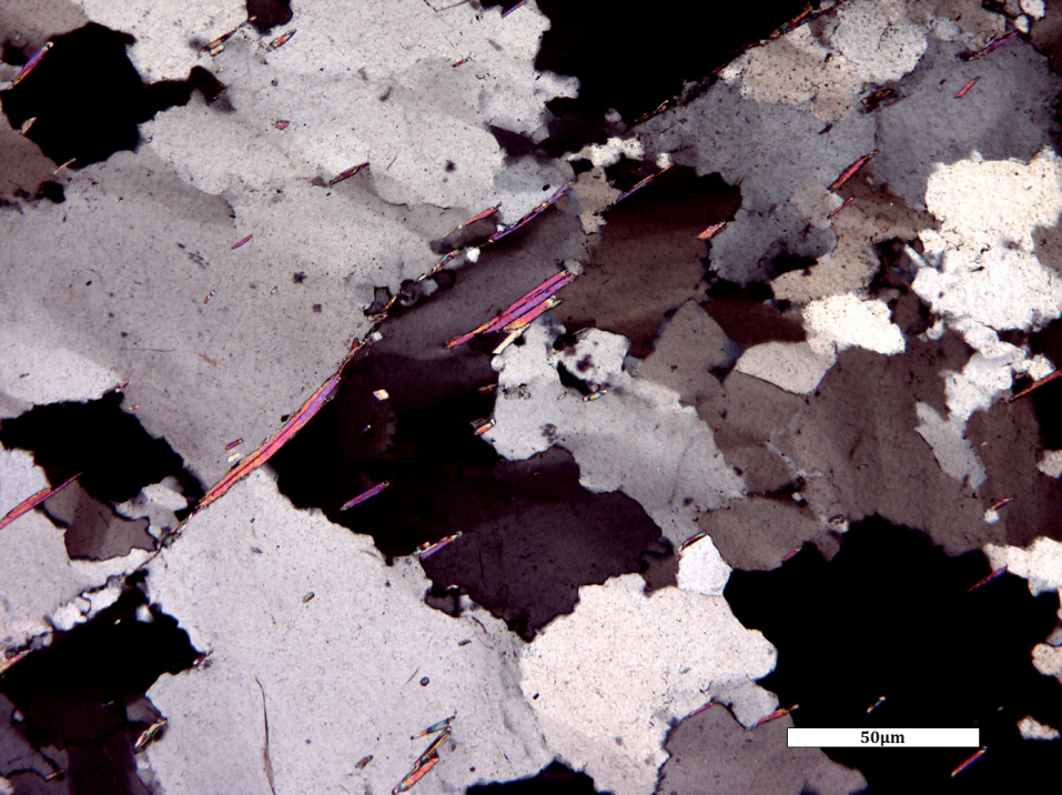 Figure 7.12 Magnified thin section of quartzite in polarized light. The irregular-shaped white, grey, and black crystals are all quartz. The small, thin brightly-coloured crystals, are mica. This rock is foliated, even though it might not appear to be if examined without a microscope, and so it must have formed under directed-pressure conditions. [Photo by Sandra Johnstone, used with permission]