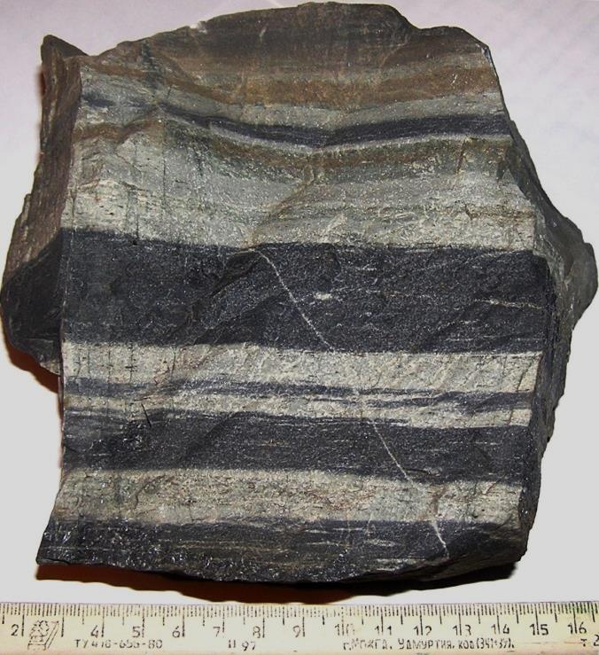 Figure 7.13 Hornfels from the Novosibirsk region of Russia. The dark and light bands are bedding. The rock has been recrystallized during contact metamorphism and does not display foliation. (scale in cm) [http://en.wikipedia.org/wiki/Hornfels#mediaviewer/ File:Hornfels.jpg]