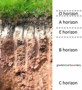 5.4 Weathering and the Formation of Soil – Physical Geology