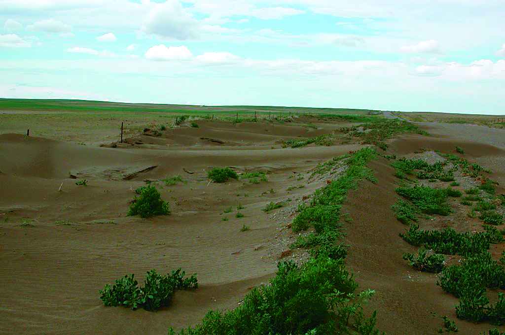 Photograph of Soil erosion by wind in Alberta.