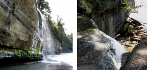 Figure 13.11 Two streams with a lowered base level on the Juan de Fuca Trail, southwestern Vancouver Island. [SE]