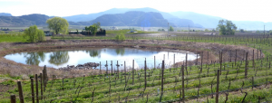 Figure 16.33 A kettle lake amid vineyards and orchards in the Osoyoos area of B.C. [SE]