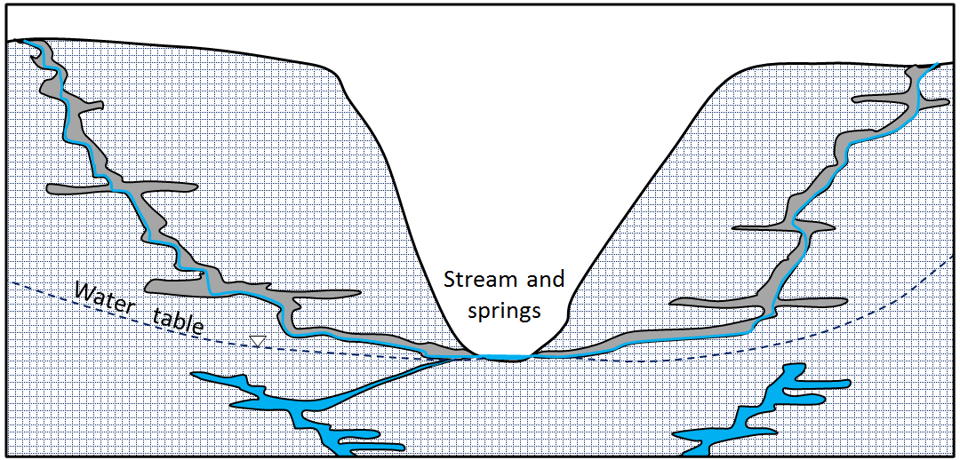 Figure 14.9 Groundwater in a limestone karst region. The water in the caves above the water table does not behave like true groundwater because its flow is not controlled by water pressure, only by gravity. The water below the water table does behave like true groundwater. [SE]