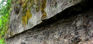 Figure 3.4 Cretaceous-aged marine sandstone overlying mudstone, Gabriola Island, B.C. [SE]