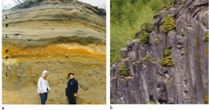 Figure 4.13 Mt. St. Helens volcanic deposits: (a) lahar deposits (L) and felsic pyroclastic deposits (P) and (b) a columnar basalt lava flow. The two photos were taken at locations only about 500 m apart. [SE]