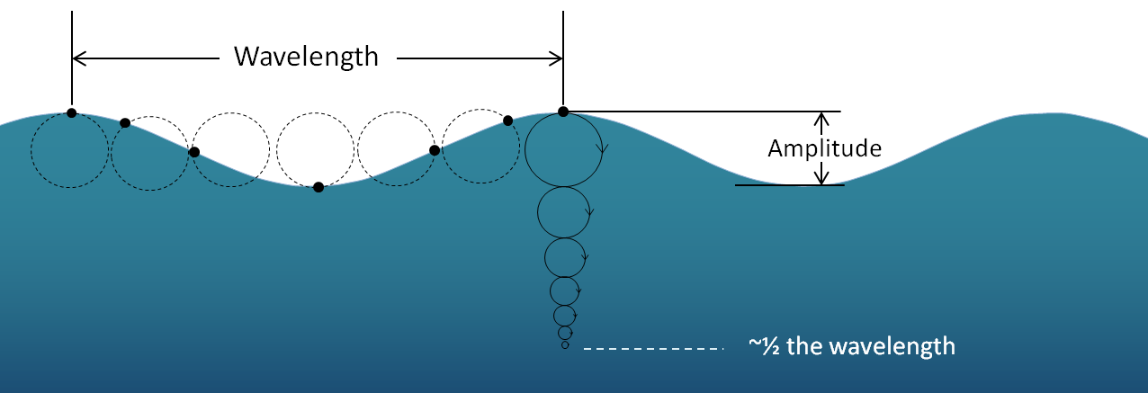 Figure 17.3 The orbital motion of a parcel of water (black dot) as a wave moves across the surface. [SE]
