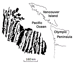 Figure 10.11 Pattern of sea-floor magnetism off of the west coast of British Columbia and Washington [SE after http://geomaps.wr.usgs.gov/parks/noca/nocageol4c.html, adapted from: Raff, A and Mason, R, 1961, Magnetic survey off the west coast of North America, 40˚ N to 52˚ N latitude, Geol. Soc. America Bulletin, V. 72, p. 267-270.]