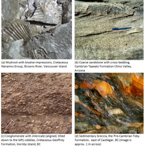 Figure 6.8 Examples of various clastic sedimentary rocks.
