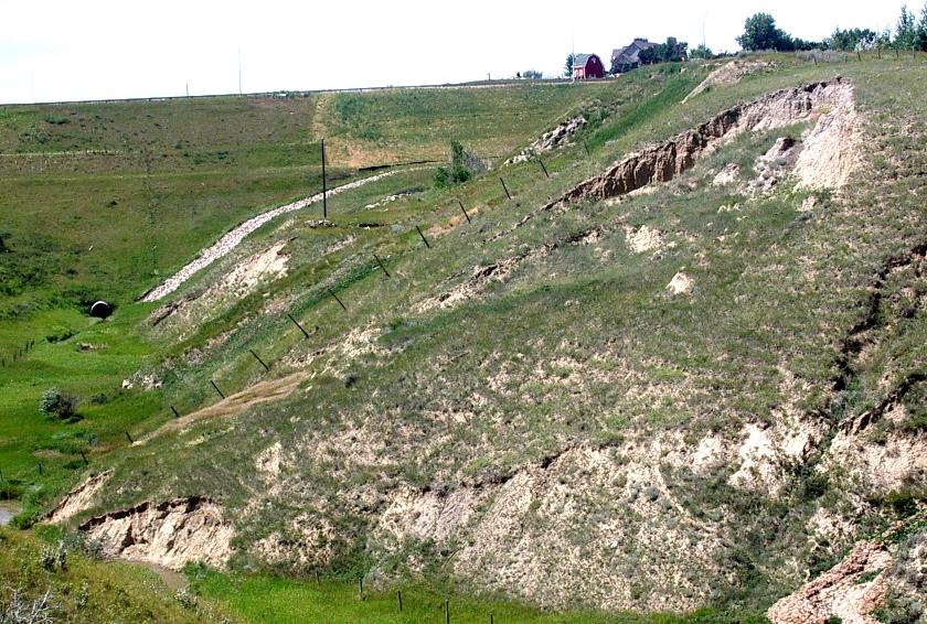 Figure 15.15 A slump along the banks of a small coulee near Lethbridge, Alberta. The main head-scarp is clearly visible at the top, and a second smaller one is visible about one-quarter of the way down. The toe of the slump is being eroded by the seasonal stream that created the coulee. [SE 2005]