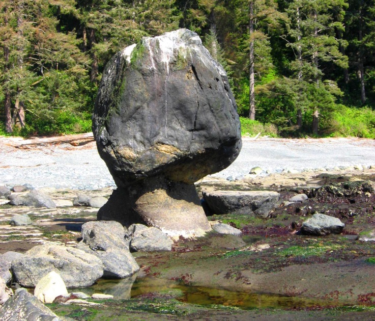 Figure 17.13 A stack on the Juan de Fuca Trail section of the southwestern shore of Vancouver Island. The rock surrounding the stack is part of a wave-cut platform. [SE]