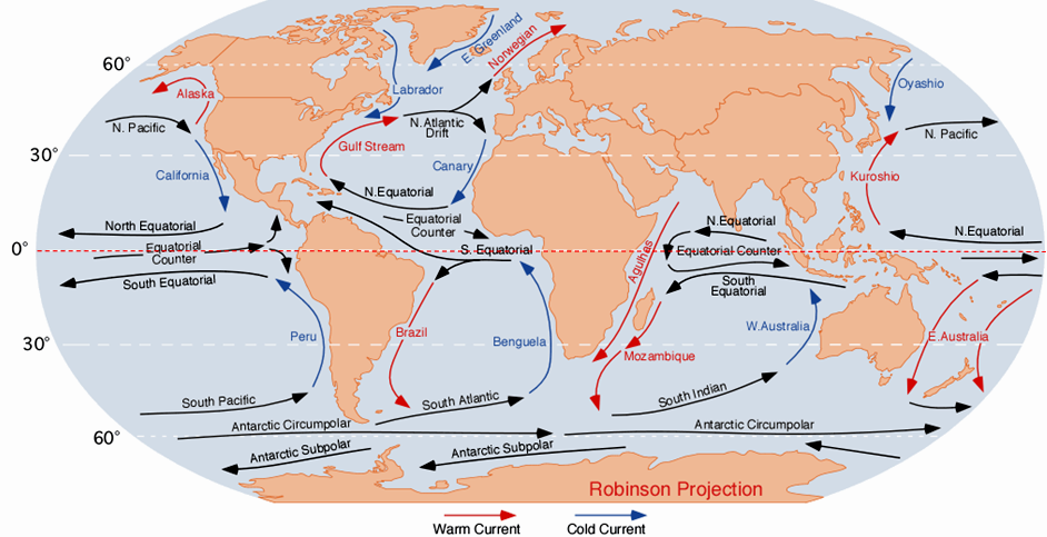 Figure 18.15 Overview of the main open-ocean currents. Red arrows represent warm water moving toward colder regions. Blue arrows represent cold water moving toward warmer regions. Black arrows represent currents that don’t involve significant temperature changes. [From: https://upload.wikimedia.org/wikipedia/commons/9/9b/Corrientes-oceanicas.png]