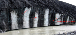 Figure 16.16 Thrust faults at the leading edge of the Athabasca Glacier, Alberta. The arrows show how the trailing ice has been thrust over the leading ice. (The dark vertical stripes are mud from sediments that have been washed off of the lateral moraine lying on the surface of the ice.) [SE]