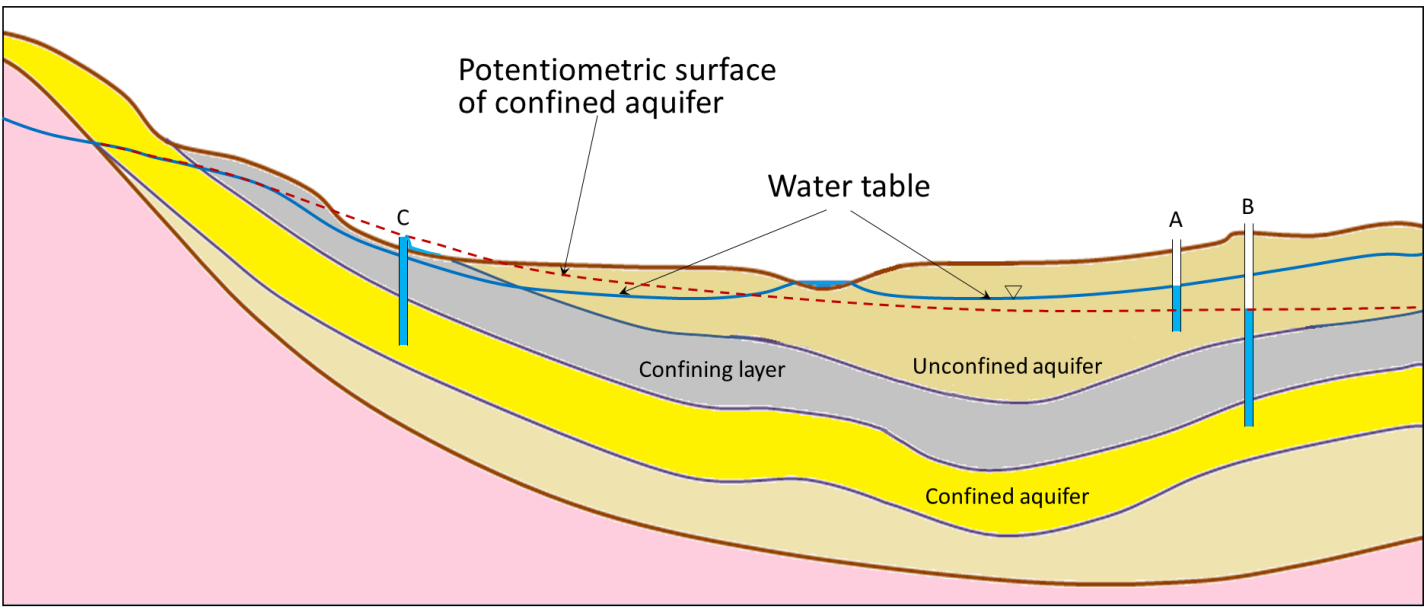 Figure 14.6 A depiction of the water table and the potentiometric surface of a confined aquifer. [SE]
