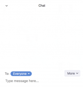screenshot of Zoom chat panel