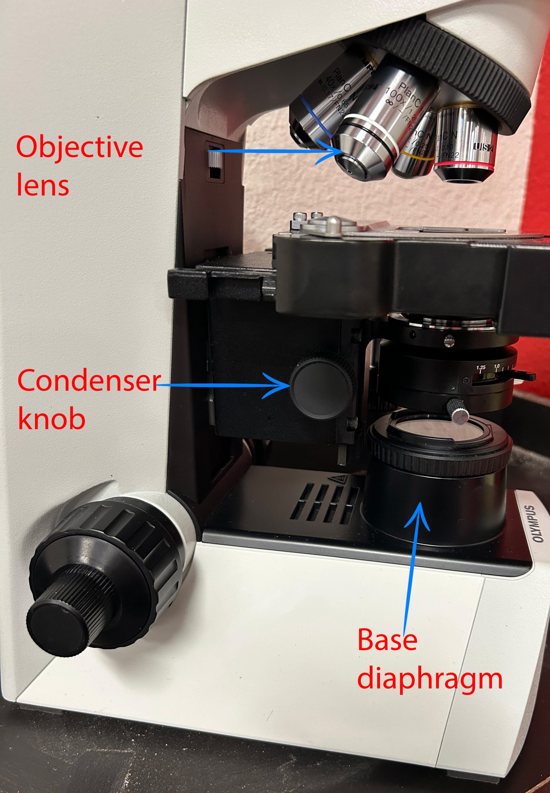 image of side of Olympus CX31 microscope