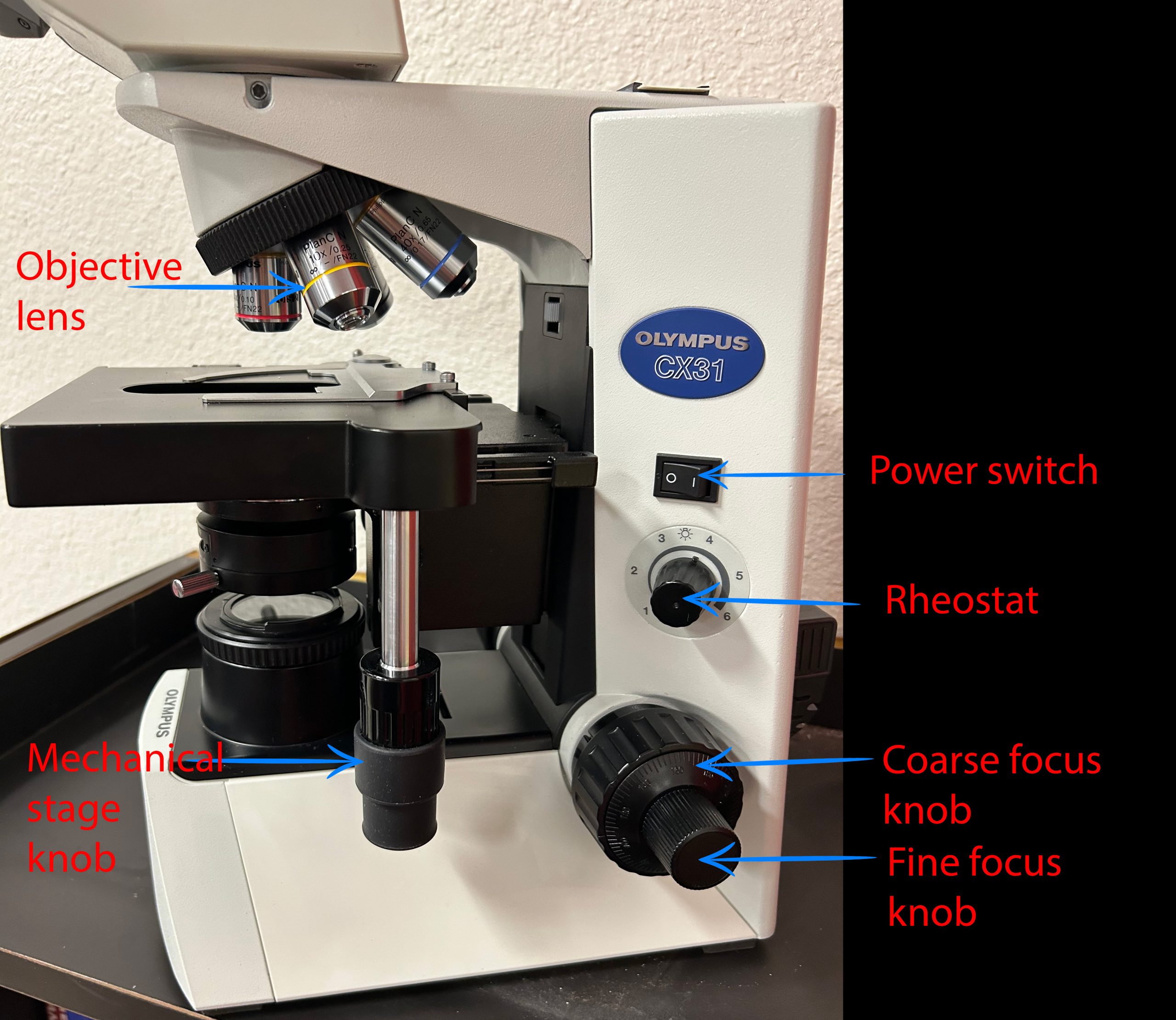 Image of side of Olympus CX31 microscope