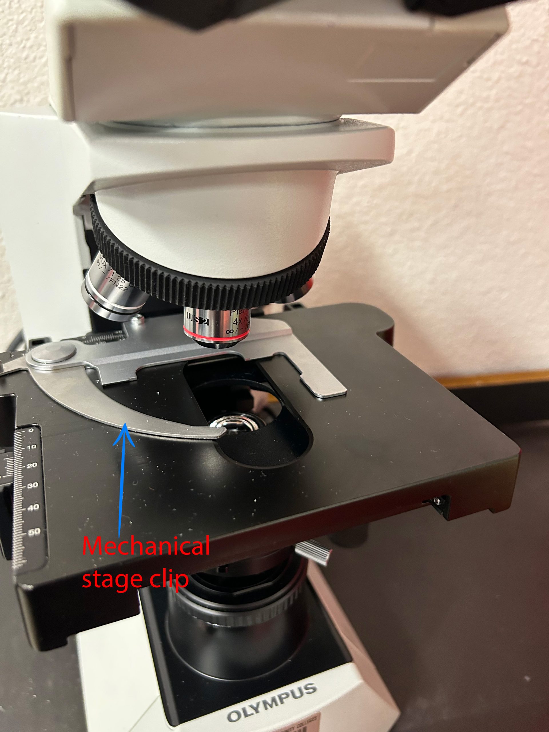 image of Olympus CX31 microscope