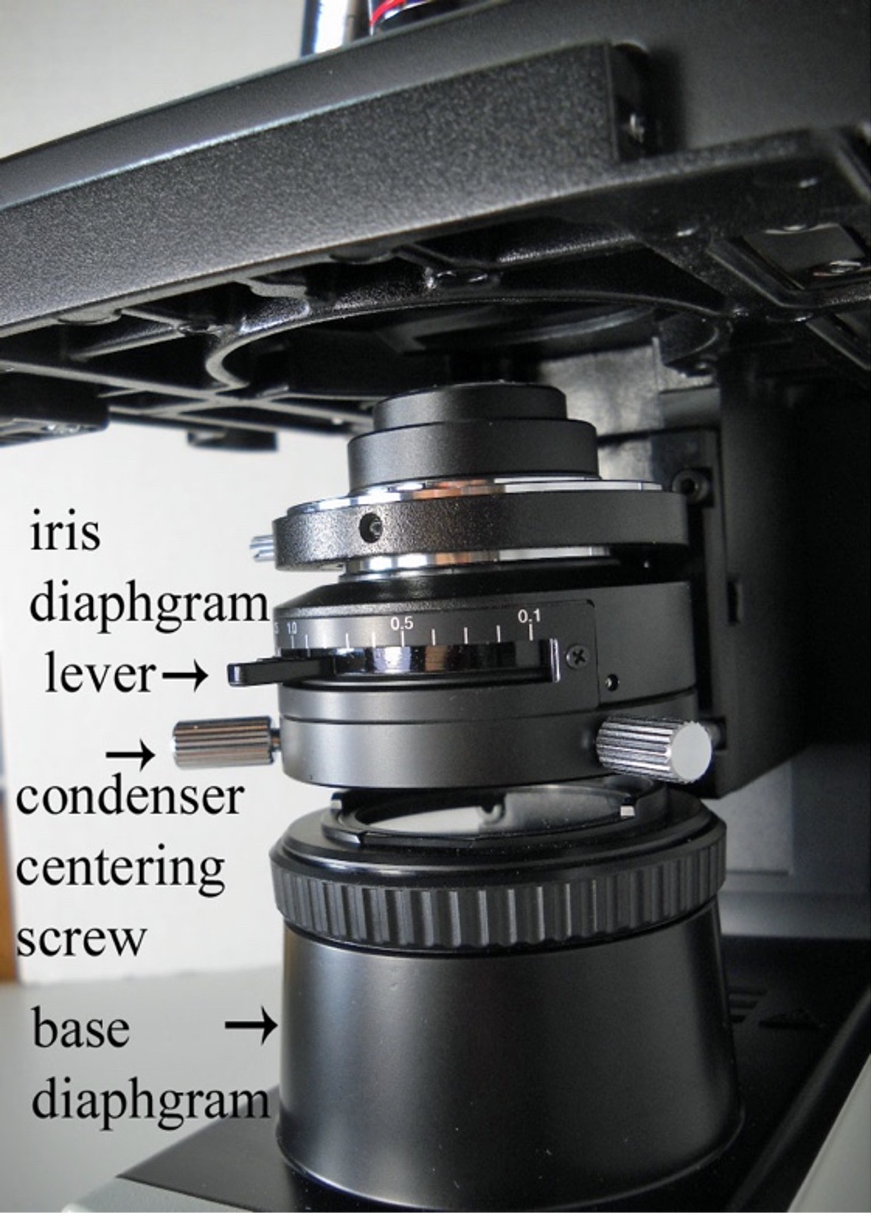 Labeled Microscope
