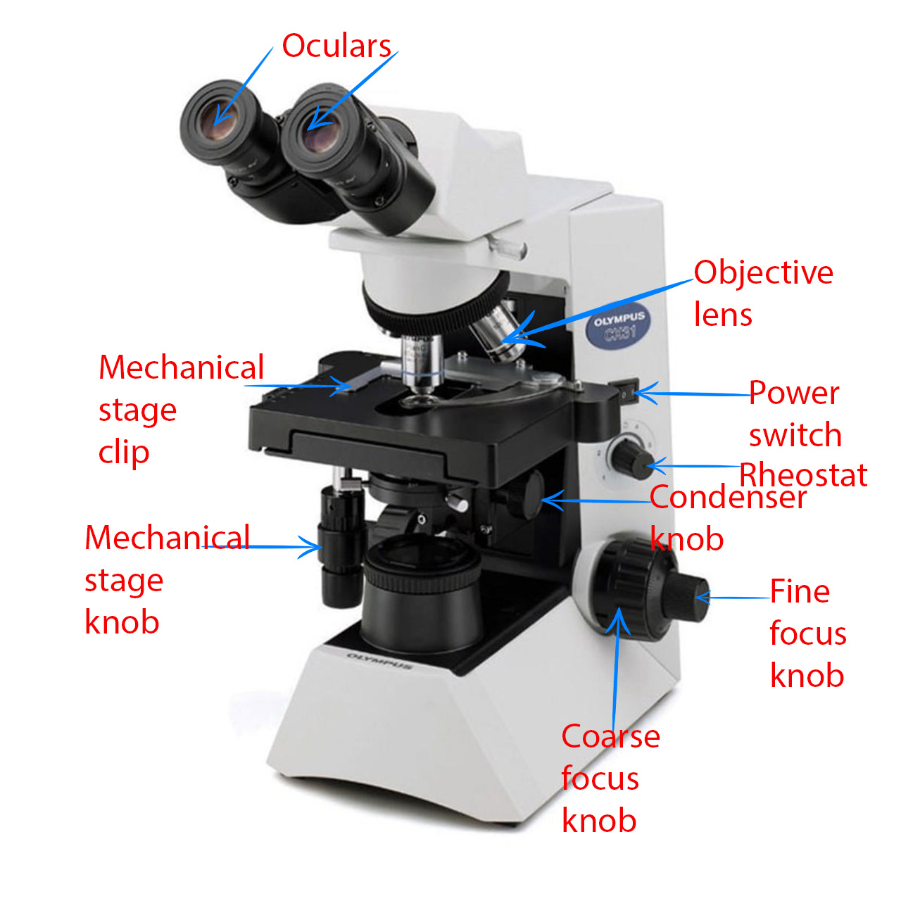 Labeled CX31 microscope