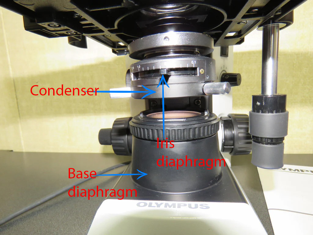 Labeled CX31 microscope