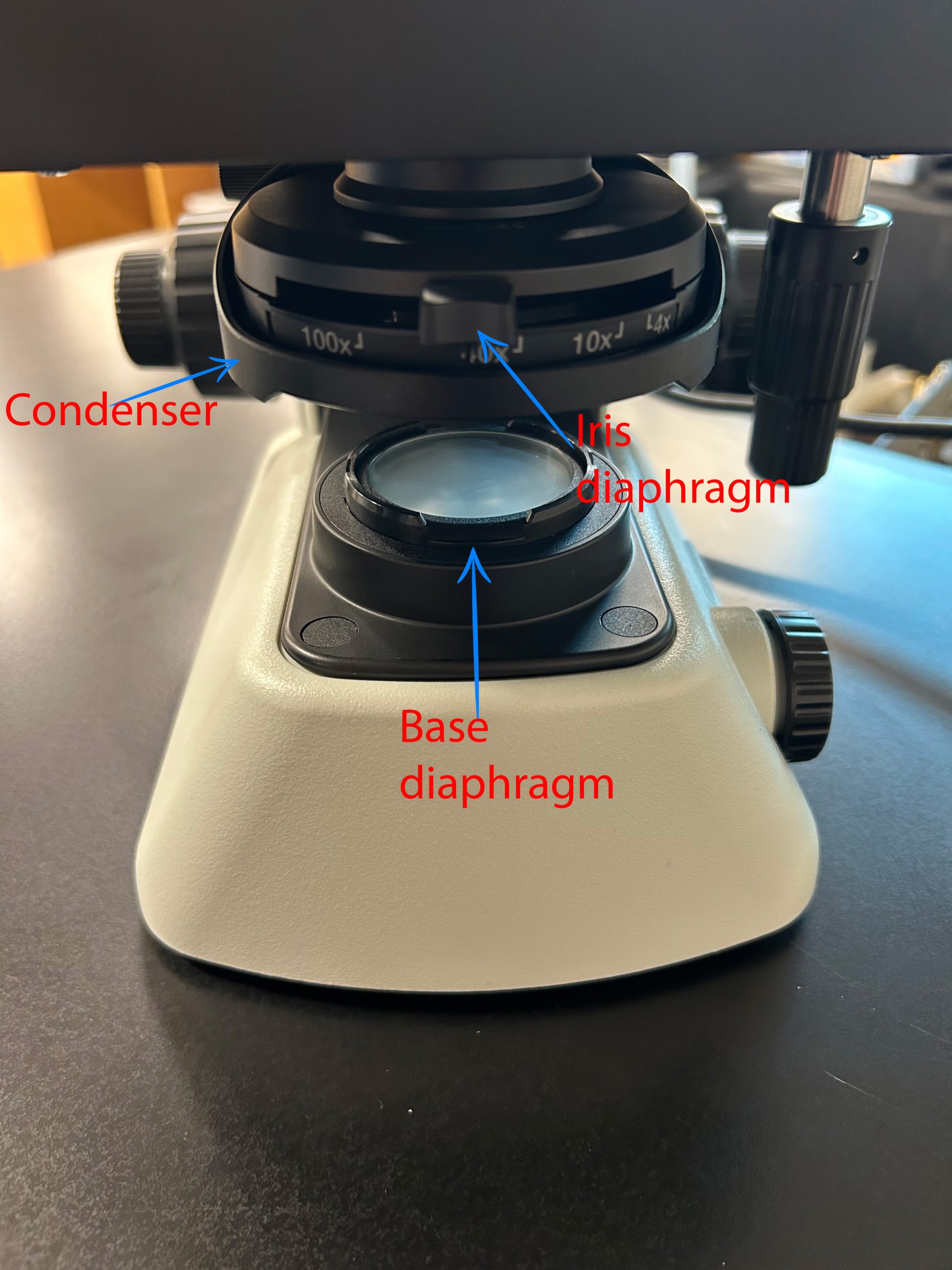 Labeled microscope image