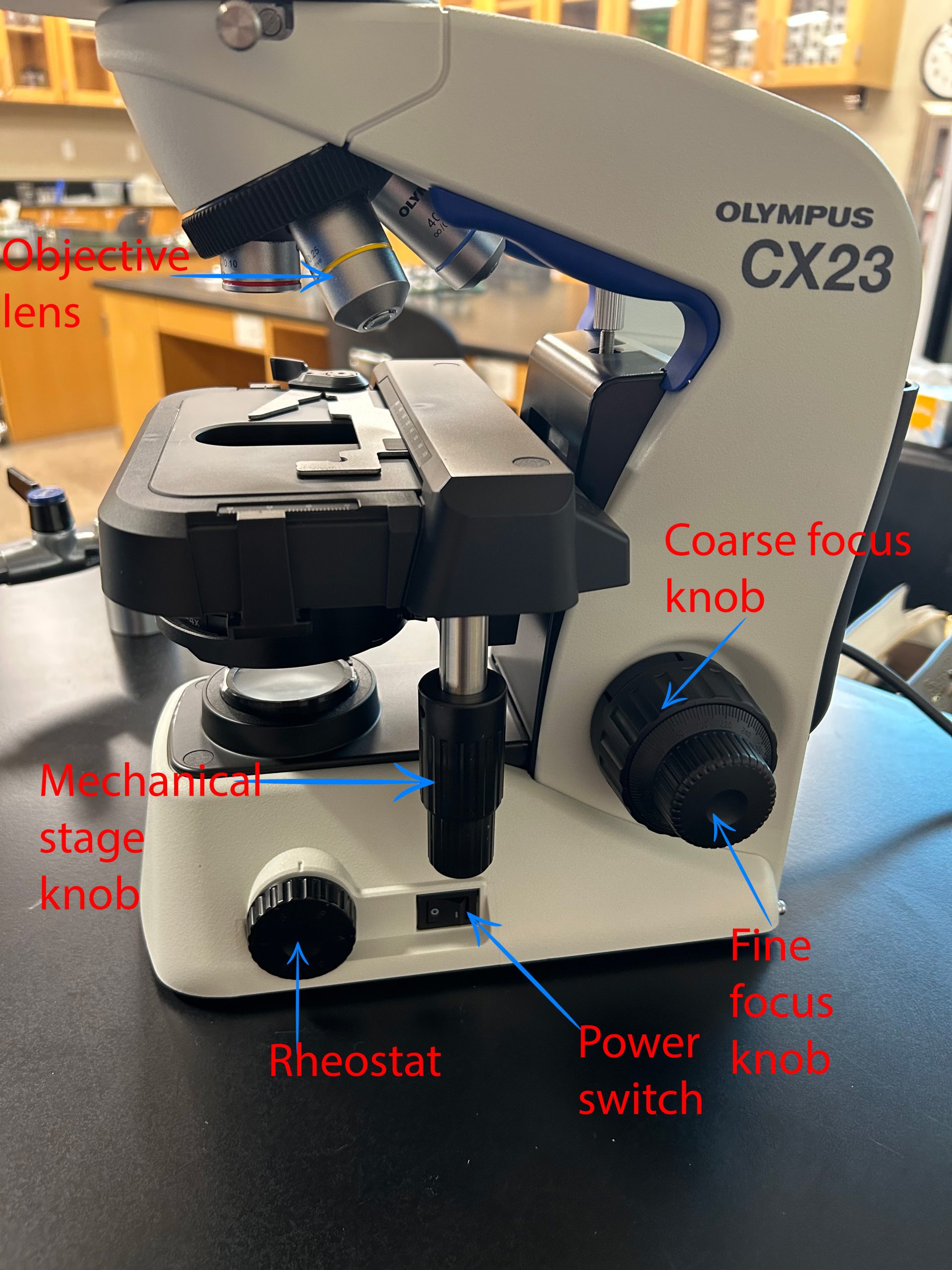 Labeled microscope image