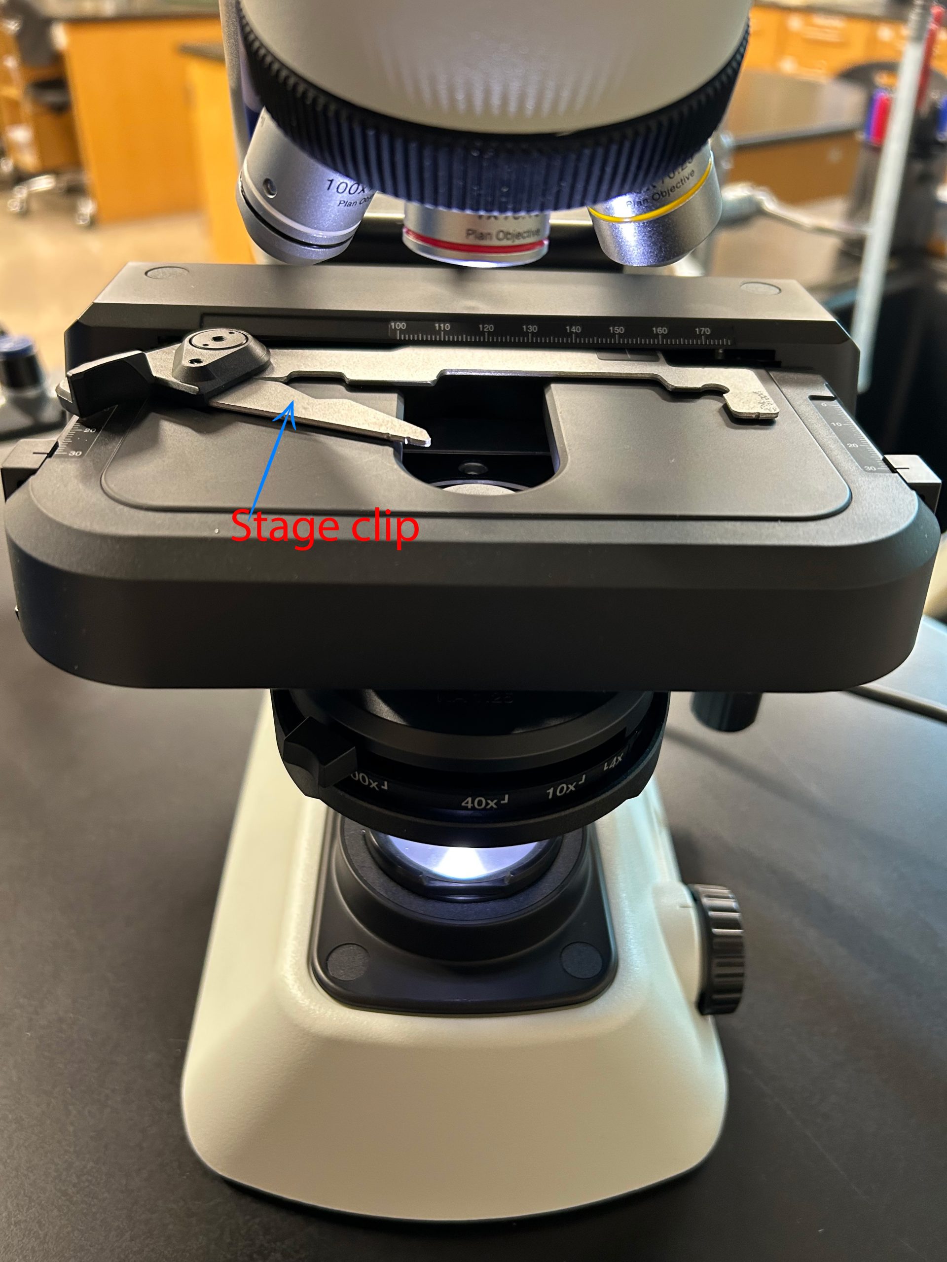 Labeled microscope image